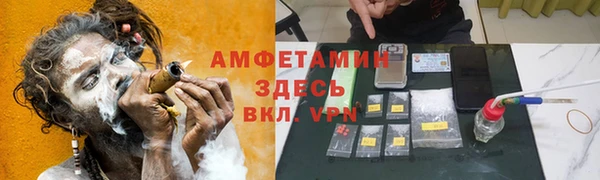 гидра Покачи