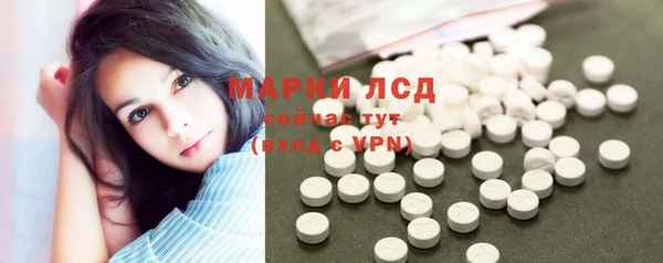 PSILOCYBIN Покров