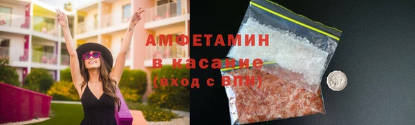гидра Покачи