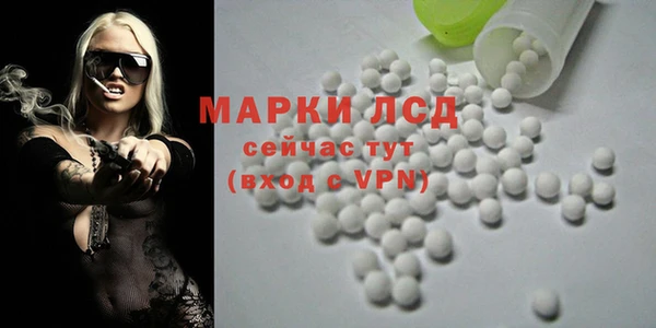 PSILOCYBIN Покров