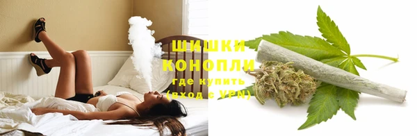PSILOCYBIN Покров