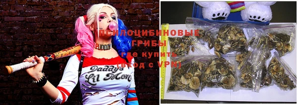 гидра Покачи