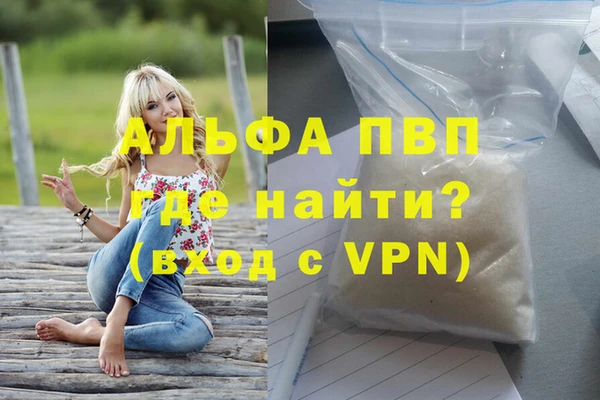 PSILOCYBIN Покров