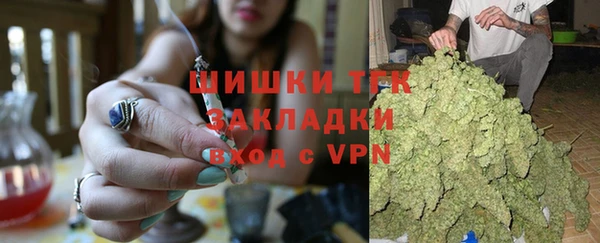 гидра Покачи