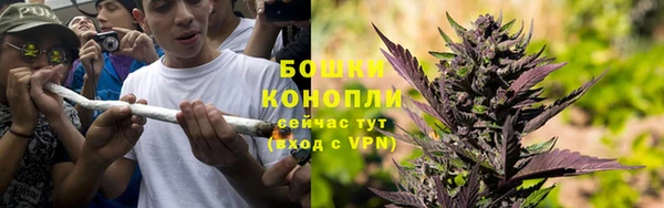 гидра Покачи