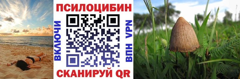 Псилоцибиновые грибы мухоморы  купить наркотик  Фёдоровский 